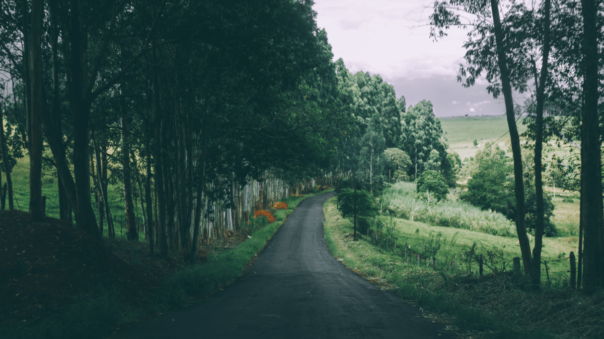 Emocijas un staigāšana